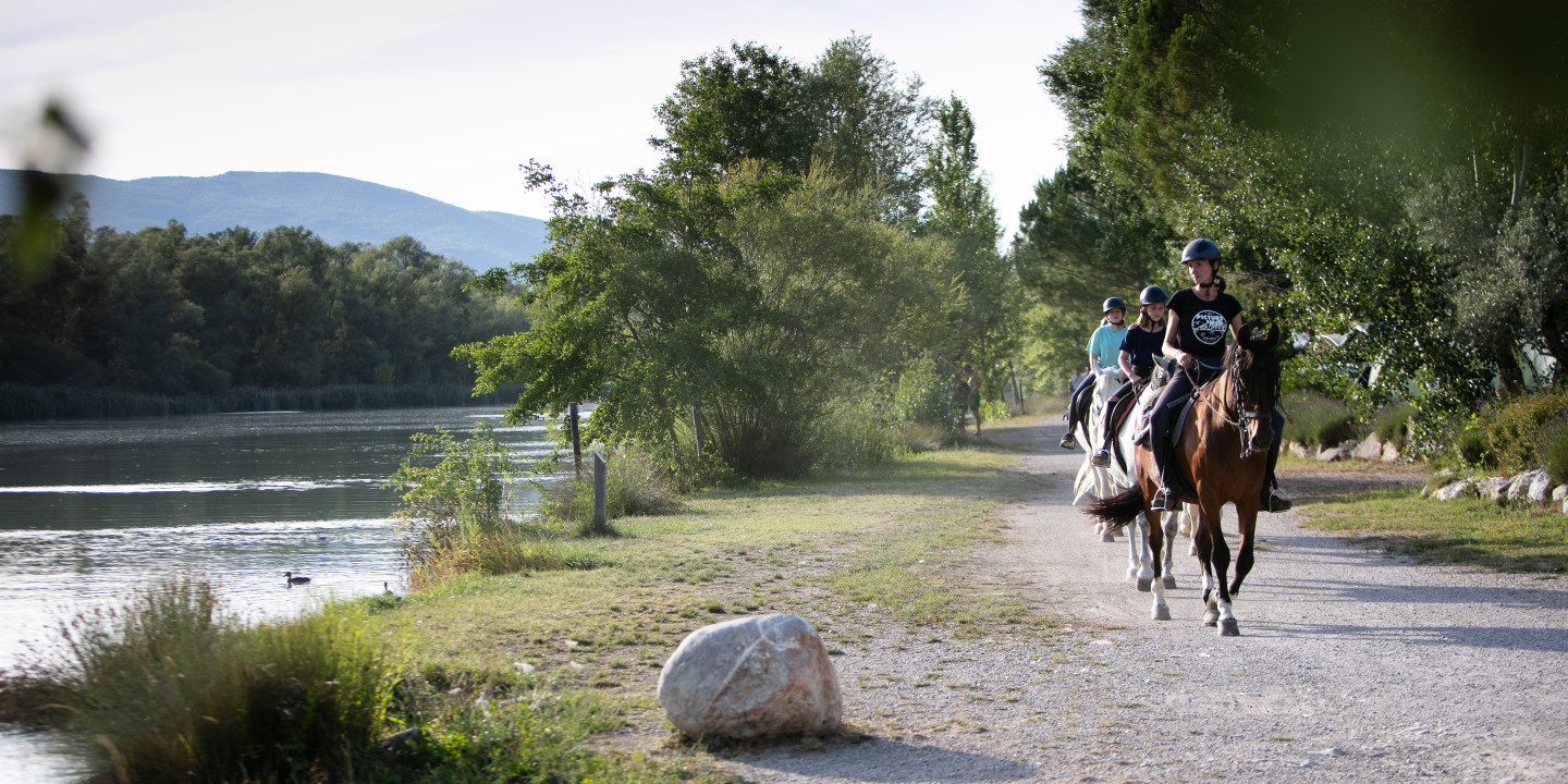 Horse Riding in Provence