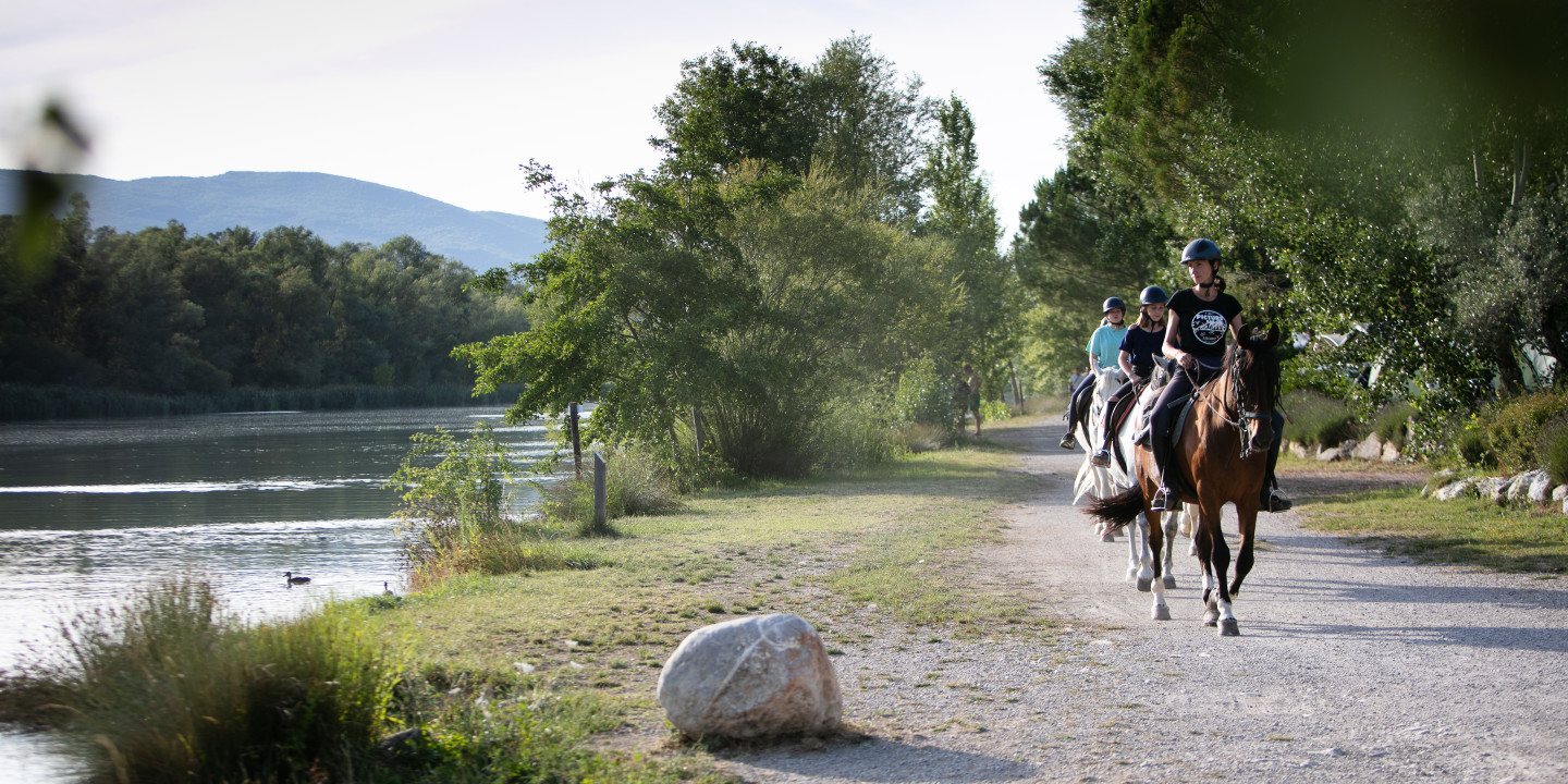Horse Riding in Provence