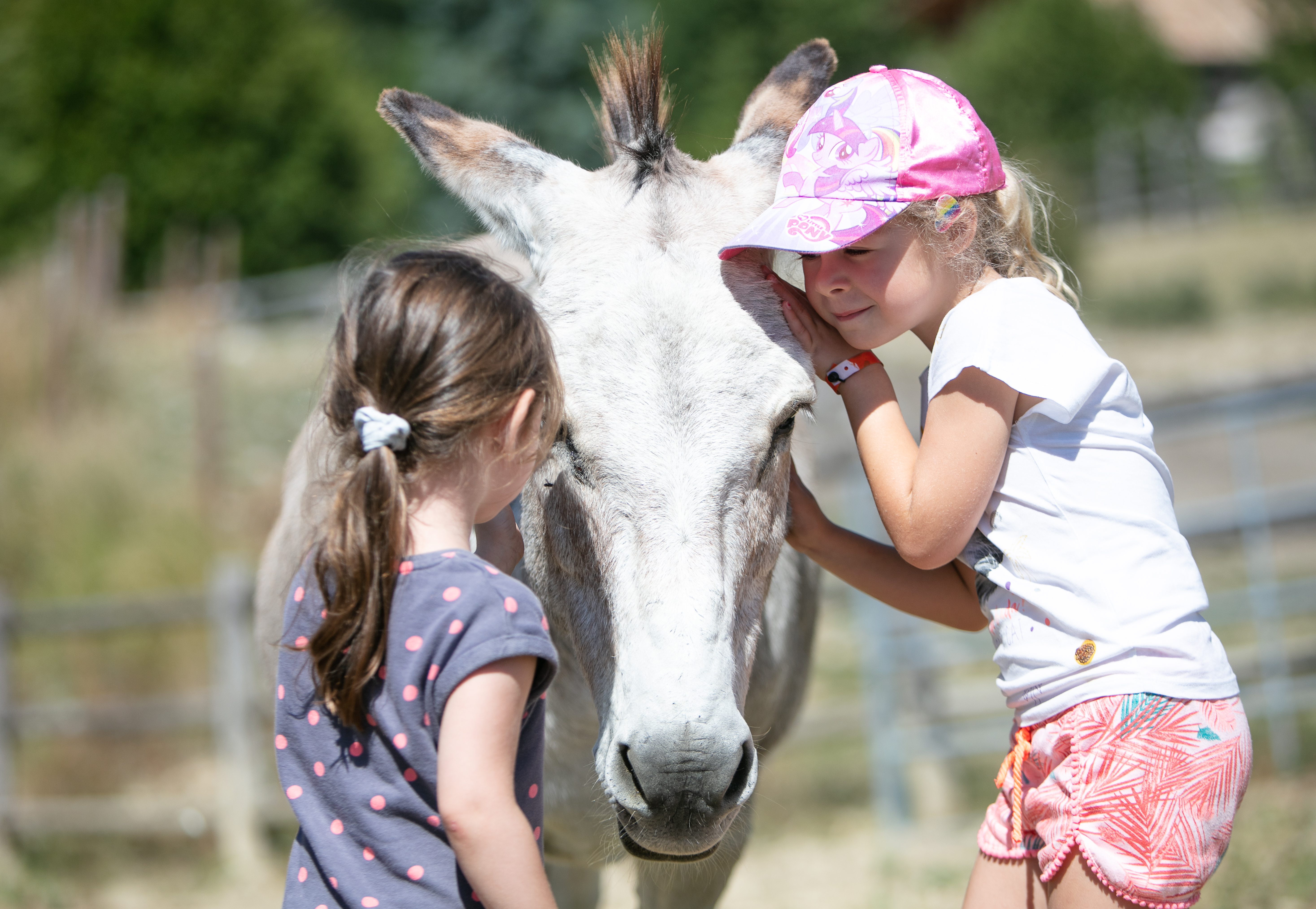 hippocampe-diaporama-camping15.jpg