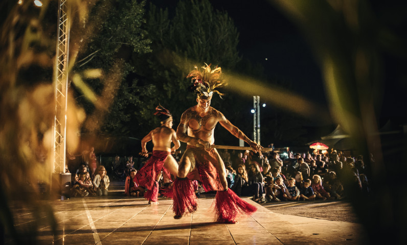 2016-07-13 Spectacle Tahitien - Alex 8032.jpg