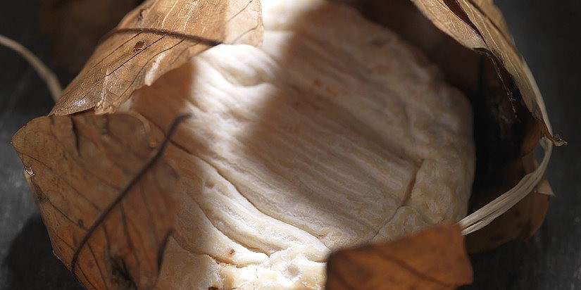 00295040-Banon-soft-cheese-made-of-goat-s-cheese-in-chestnut-leaves-France.jpg
