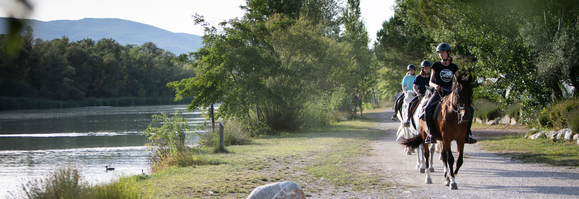 hippocampe-2019-0032.jpg