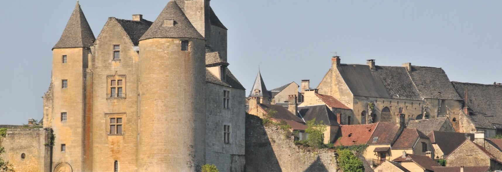 Chateau_de_Salignac_374.jfif