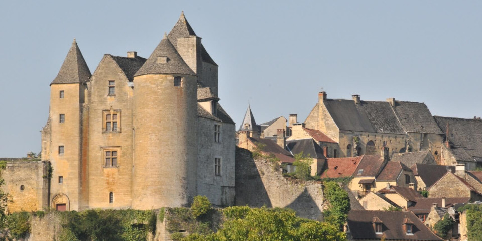 Chateau_de_Salignac_374.jfif