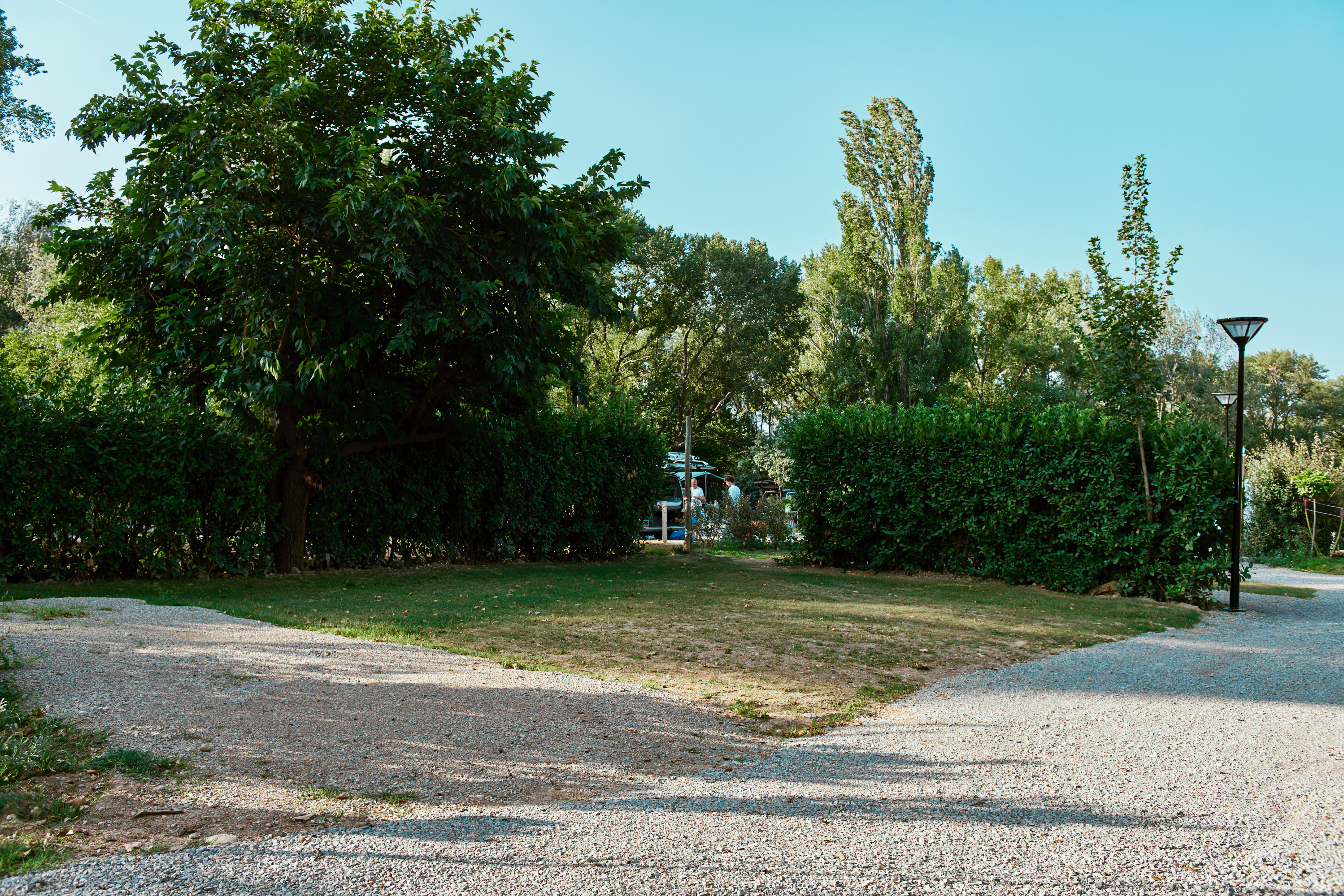 Hippocampe CA empl 170m²1.jpg